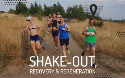 Shake-out, recovery and regeneration runs