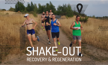 Shake-out, recovery and regeneration runs