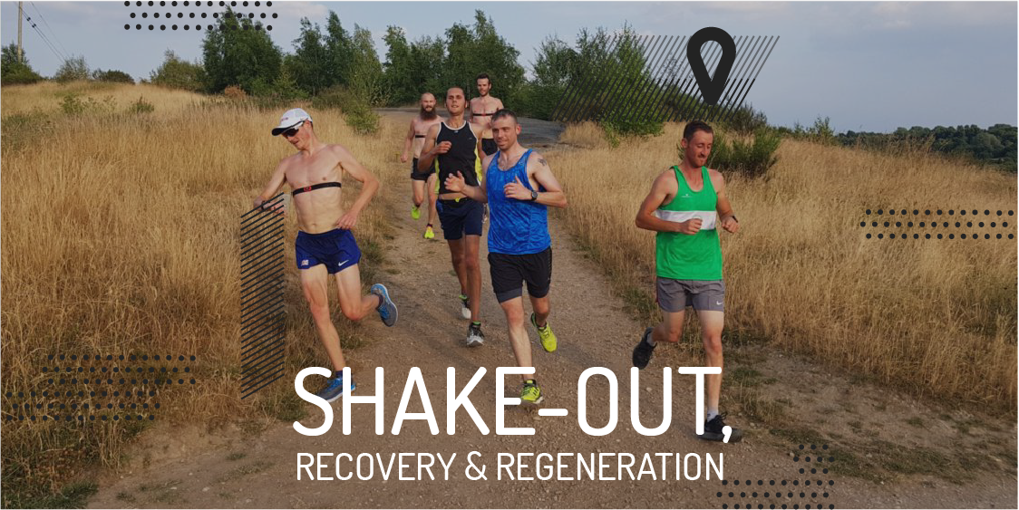 Shake-out, recovery and regeneration runs